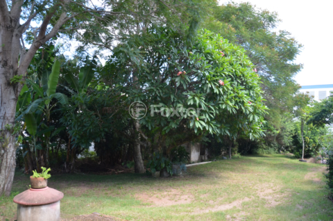 Image 3 - 973943