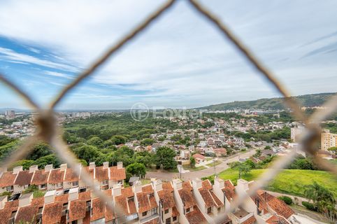 Image 4 - 973944