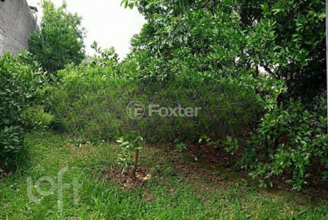 Image 11 - 979110