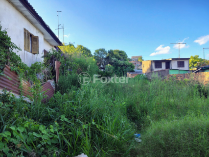 Image 3 - 979194