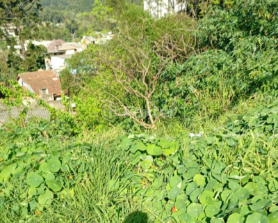 Image 1 - 979348