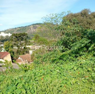 Image 3 - 979348