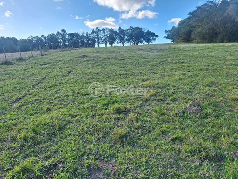 Image 8 - 979362