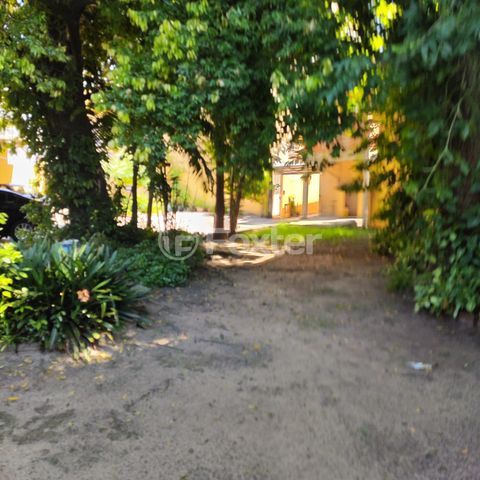 Image 19 - 979420