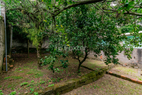 Image 31 - 979440