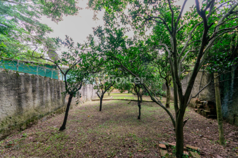 Image 33 - 979440