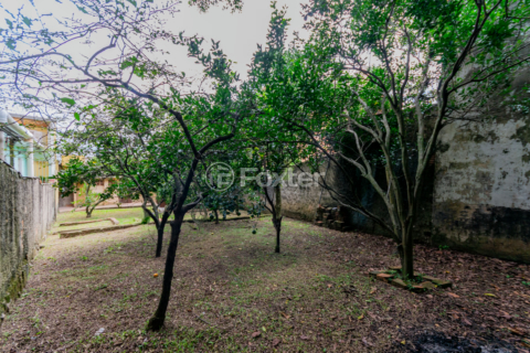 Image 34 - 979440