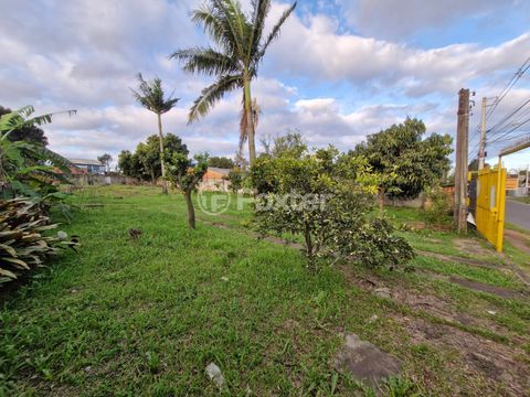 Image 1 - 979648