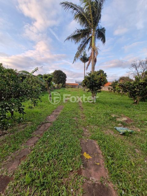 Image 3 - 979648