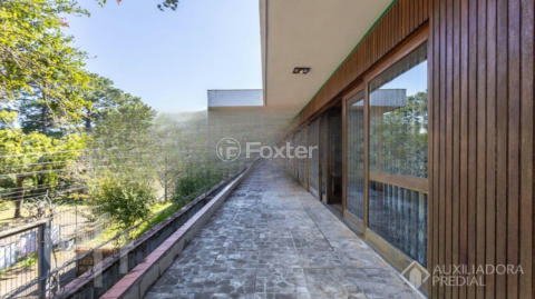 Image 6 - 979782