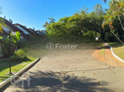 Image 37 - 979975