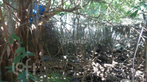 Image 9 - 980095