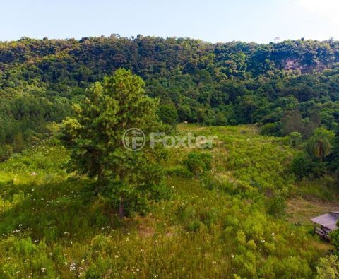 Image 8 - 980260