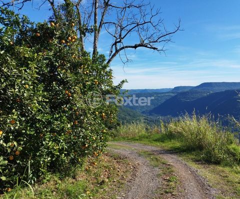 Image 7 - 980260