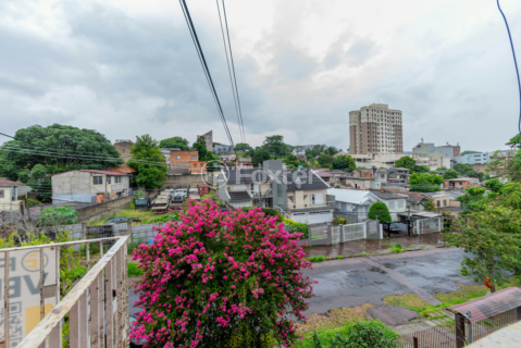 Image 3 - 980567