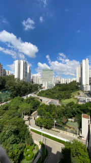 Image 14 - 980783