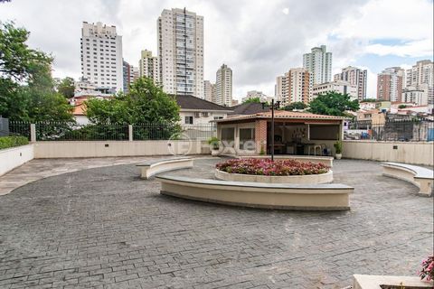 Image 25 - 980838