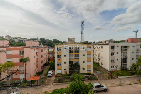 Image 5 - 981471
