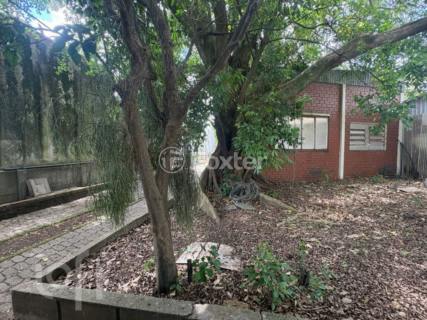 Image 2 - 981528