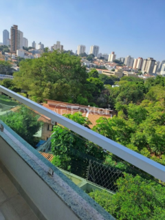 Image 31 - 981544