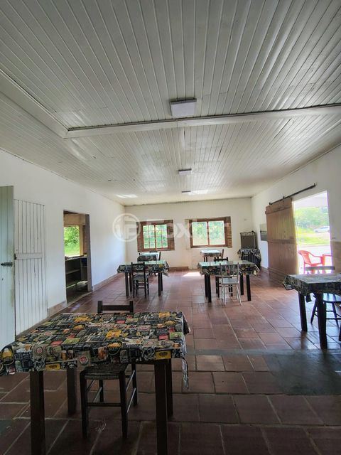 Image 6 - 981550
