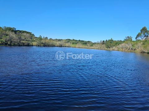 Image 8 - 981780