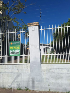 Image 21 - 981858