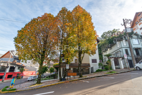 Image 1 - 982331