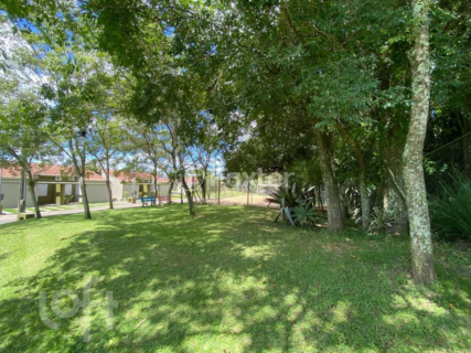 Image 10 - 982364