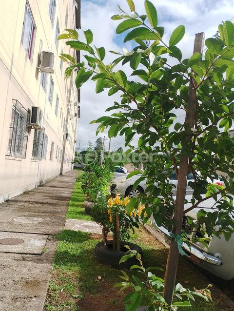 Image 13 - 982392