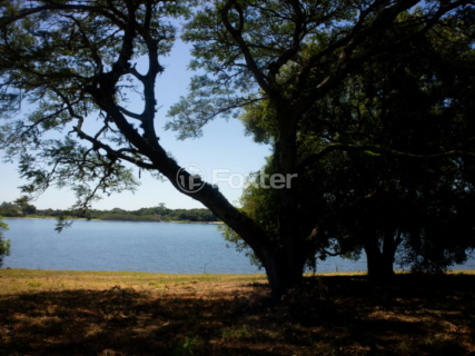 Image 9 - 982437