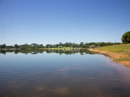 Image 10 - 982437