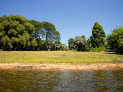 Image 4 - 982437