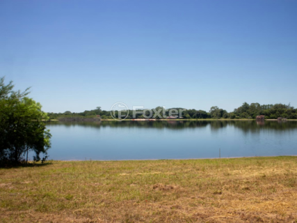 Image 5 - 982437