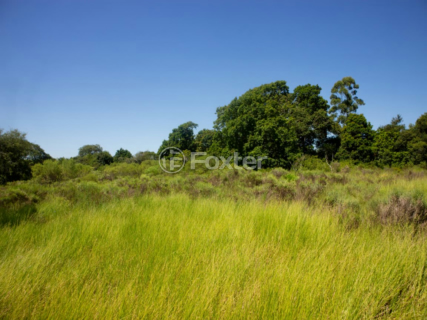 Image 7 - 982437
