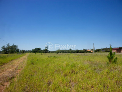 Image 8 - 982437