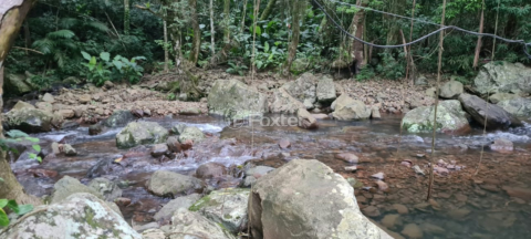Image 5 - 982459