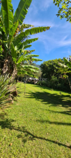Image 7 - 982459