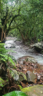 Image 6 - 982459