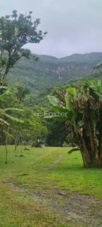 Image 4 - 982459