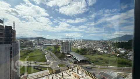 Image 36 - 982497
