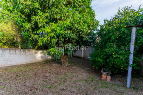 Image 31 - 982502