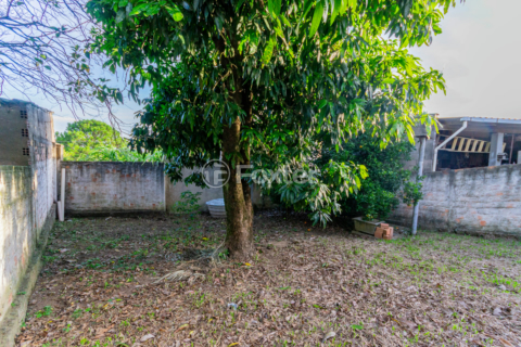 Image 32 - 982502