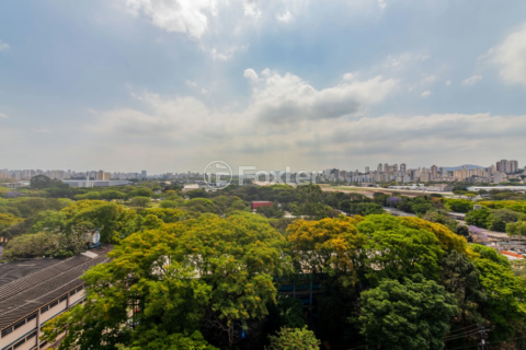 Image 27 - 982618