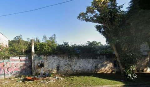 Image 3 - 982827