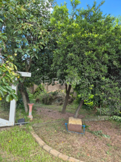 Image 3 - 982911