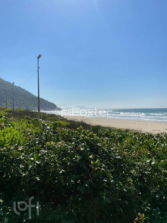 Image 5 - 982953