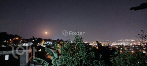Image 8 - 982974