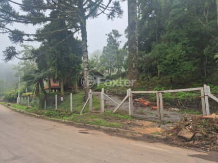 Image 3 - 983115