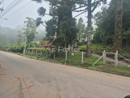 Image 4 - 983115